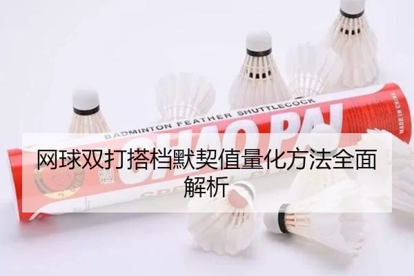 网球双打搭档默契值量化方法全面解析
